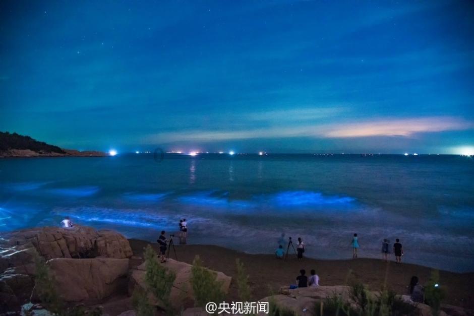气温降到-10.9℃!寿光的菜农为啥不慌?