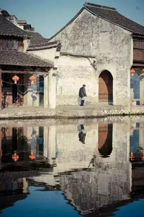 寻找奈良树花